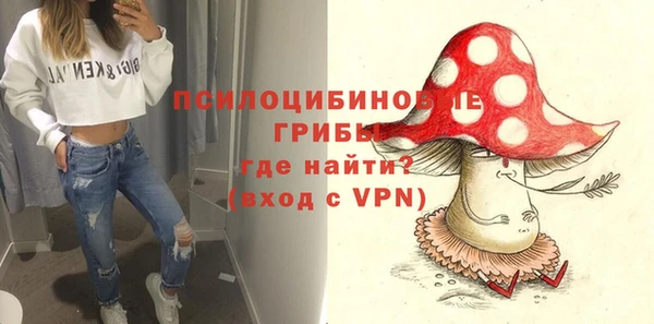 apvp Каменногорск