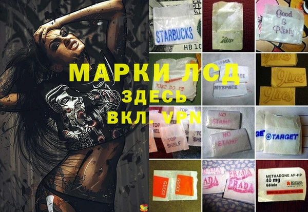 apvp Каменногорск