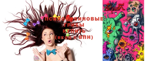 apvp Каменногорск