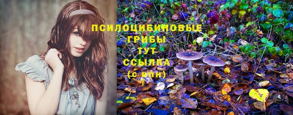 меф Каменка