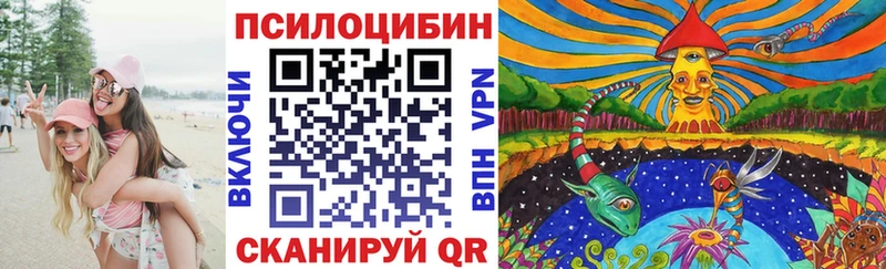 Псилоцибиновые грибы прущие грибы  Купить  Губаха 